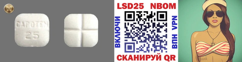 как найти   Гатчина  ЛСД экстази ecstasy 