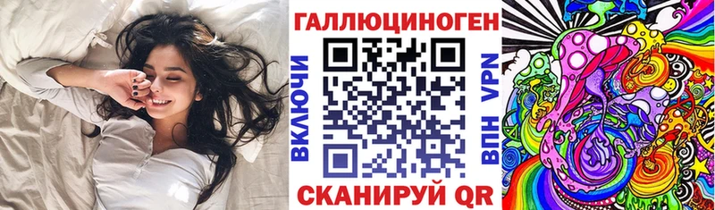 Псилоцибиновые грибы Psilocybe  купить наркоту  Гатчина 