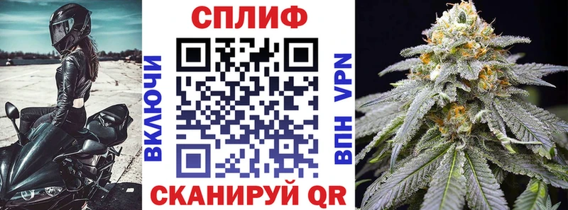Конопля сатива  закладки  mega онион  Гатчина 